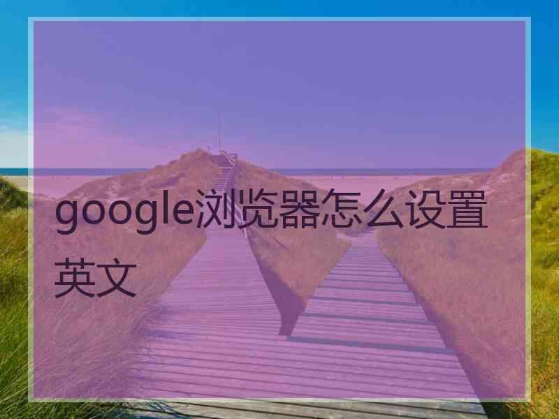 google浏览器怎么设置英文