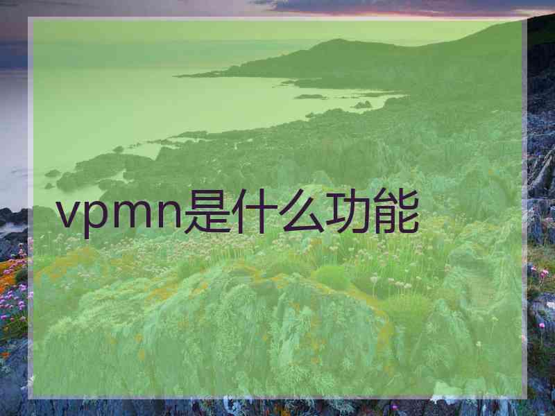 vpmn是什么功能