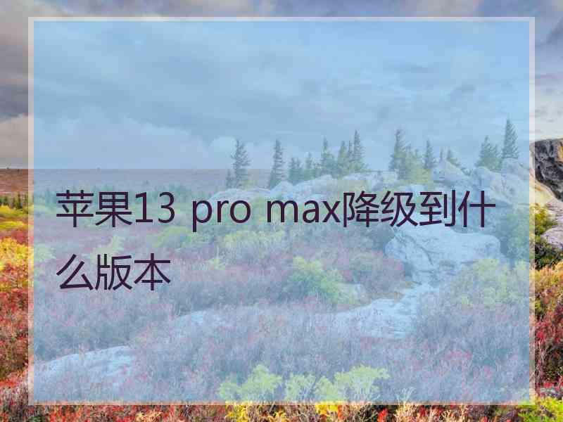 苹果13 pro max降级到什么版本