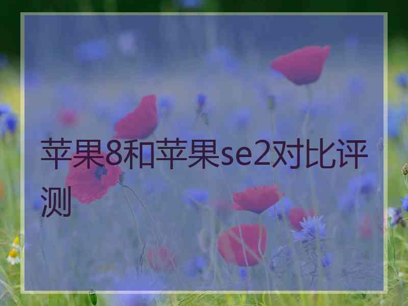 苹果8和苹果se2对比评测