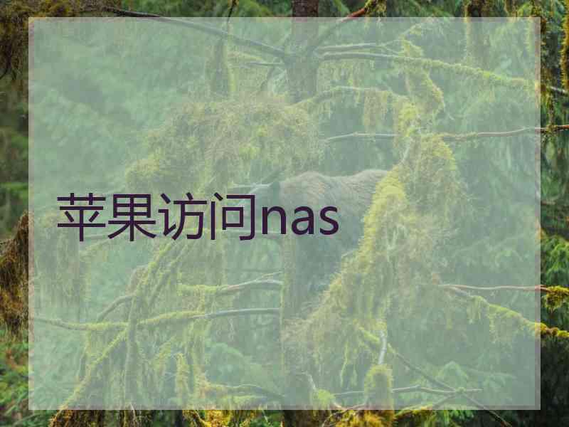 苹果访问nas