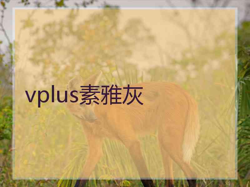 vplus素雅灰