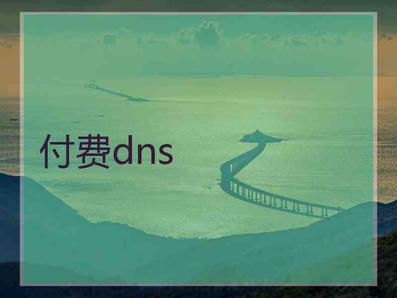 付费dns