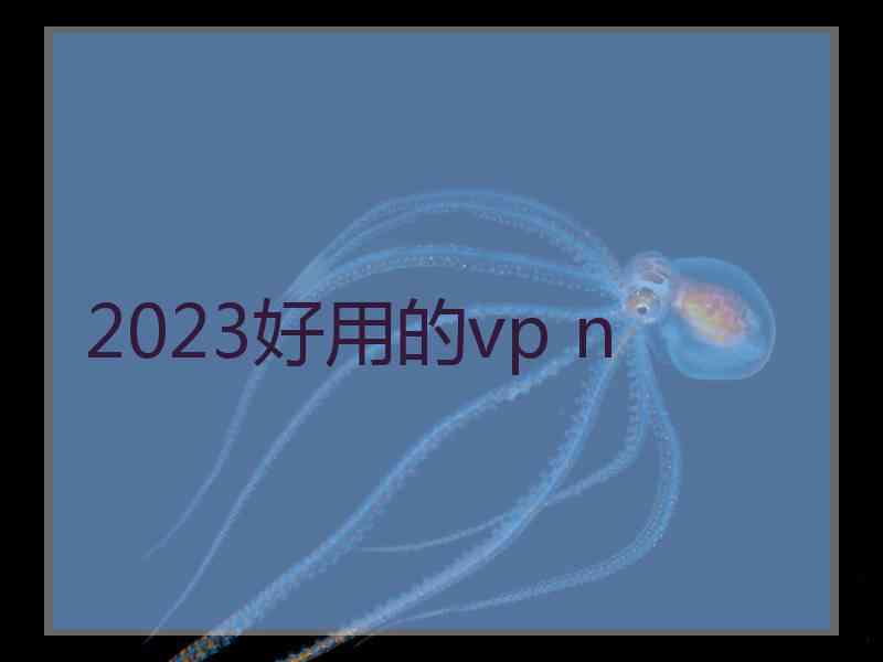 2023好用的vp n