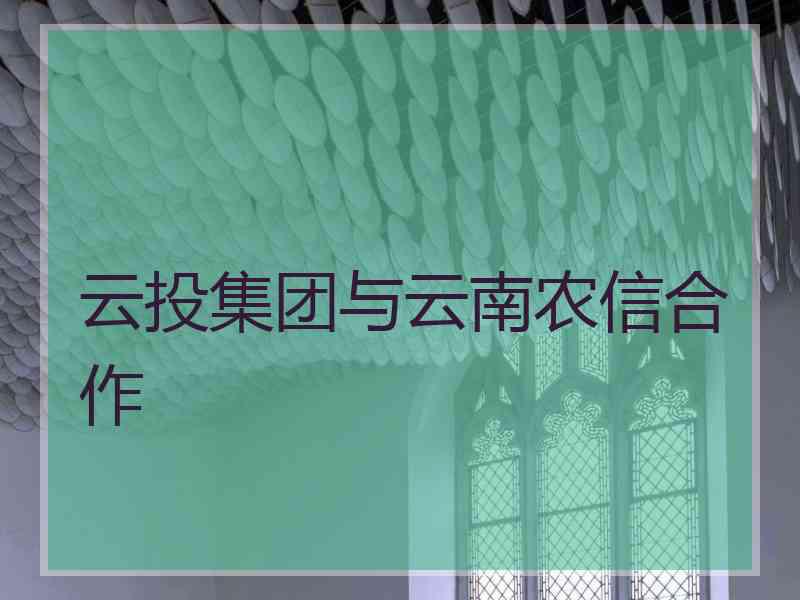 云投集团与云南农信合作