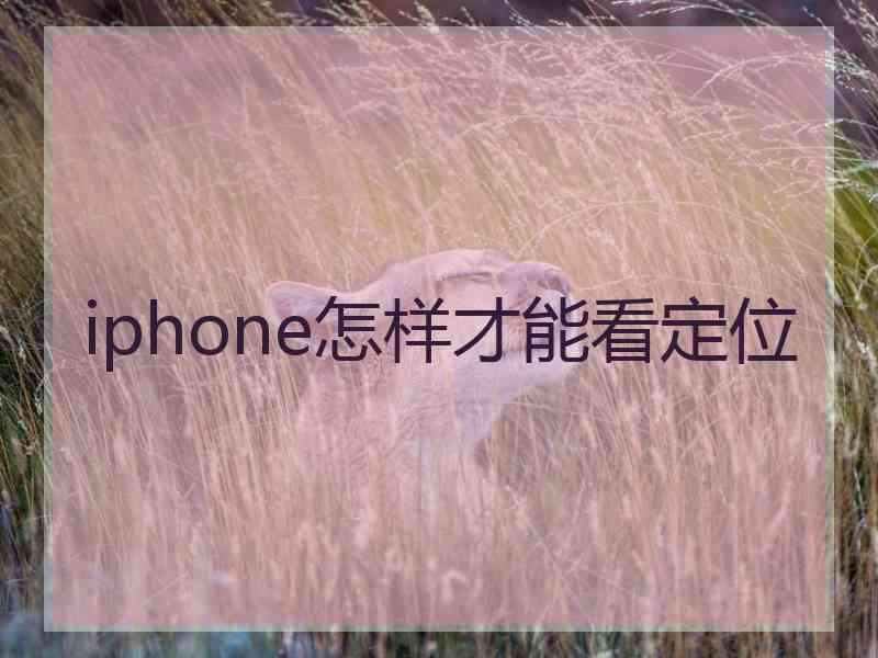 iphone怎样才能看定位