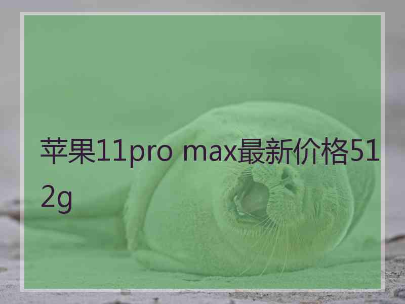 苹果11pro max最新价格512g