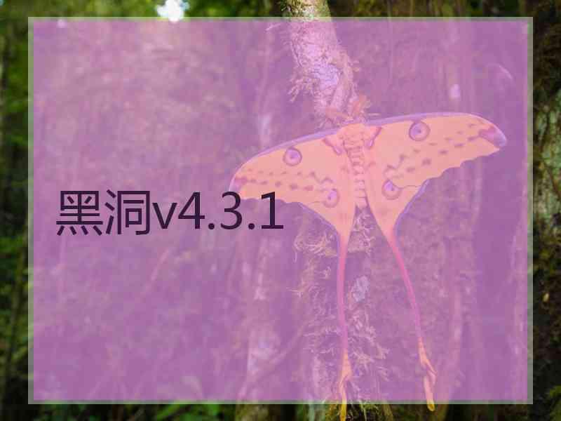 黑洞v4.3.1