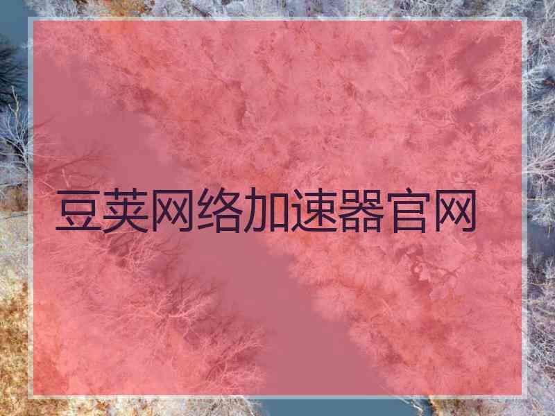 豆荚网络加速器官网