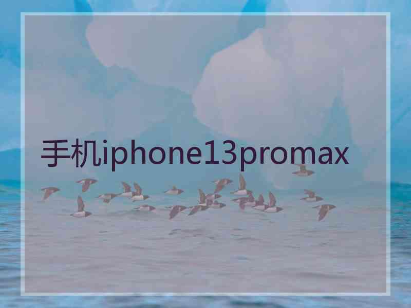 手机iphone13promax