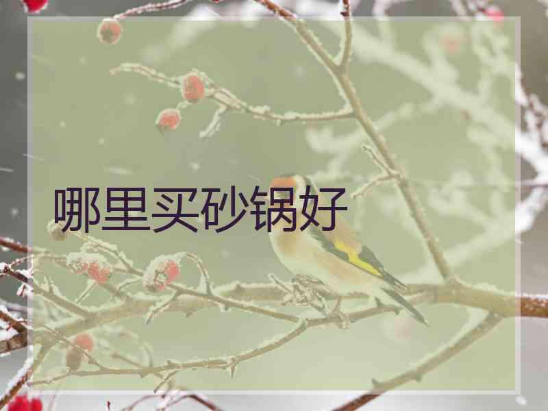 哪里买砂锅好