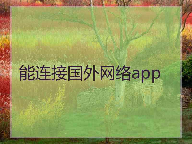 能连接国外网络app