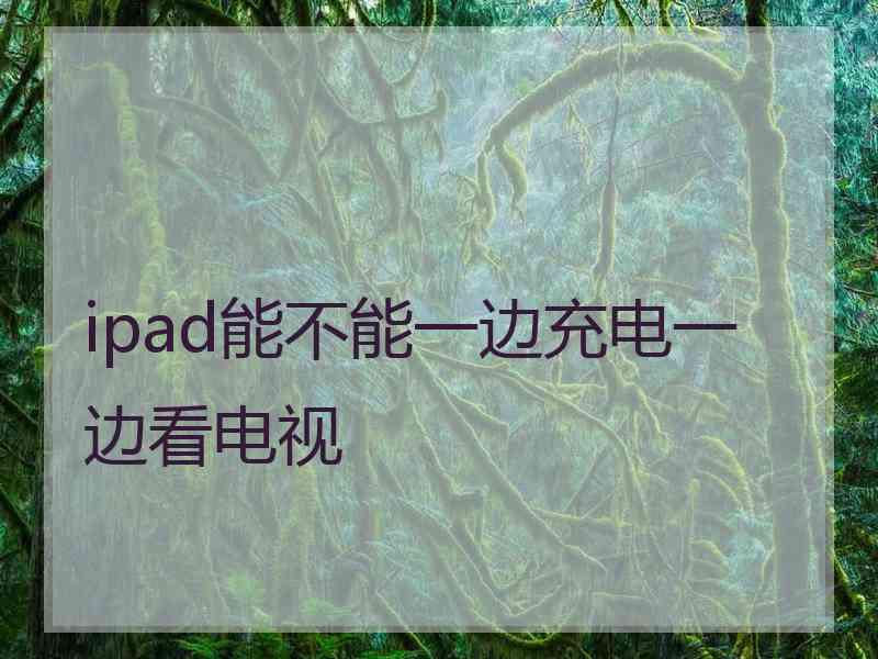 ipad能不能一边充电一边看电视