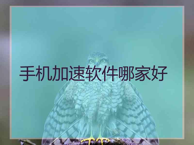 手机加速软件哪家好