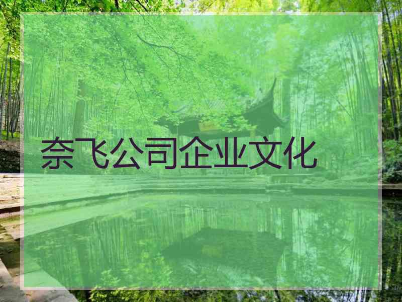 奈飞公司企业文化