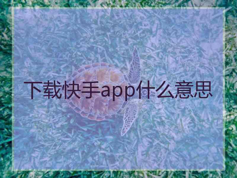 下载快手app什么意思