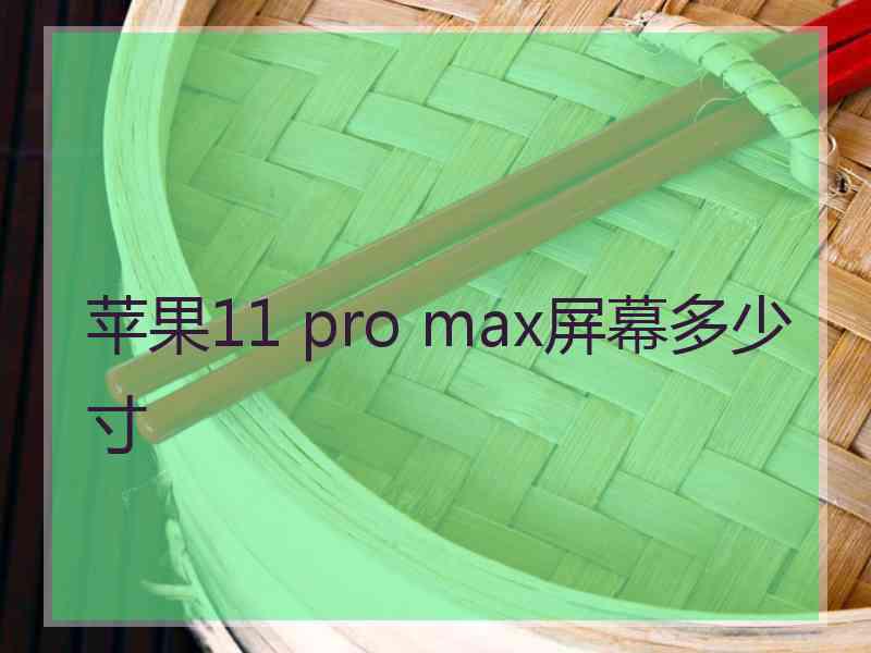 苹果11 pro max屏幕多少寸