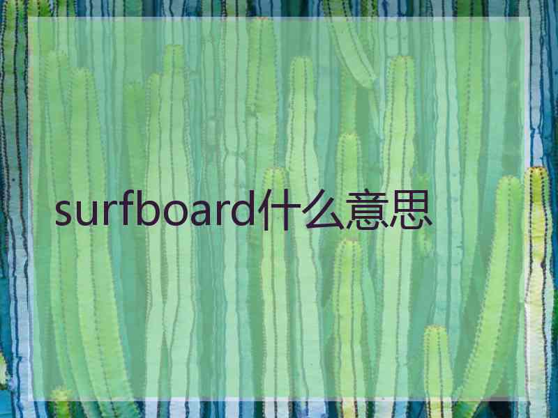 surfboard什么意思