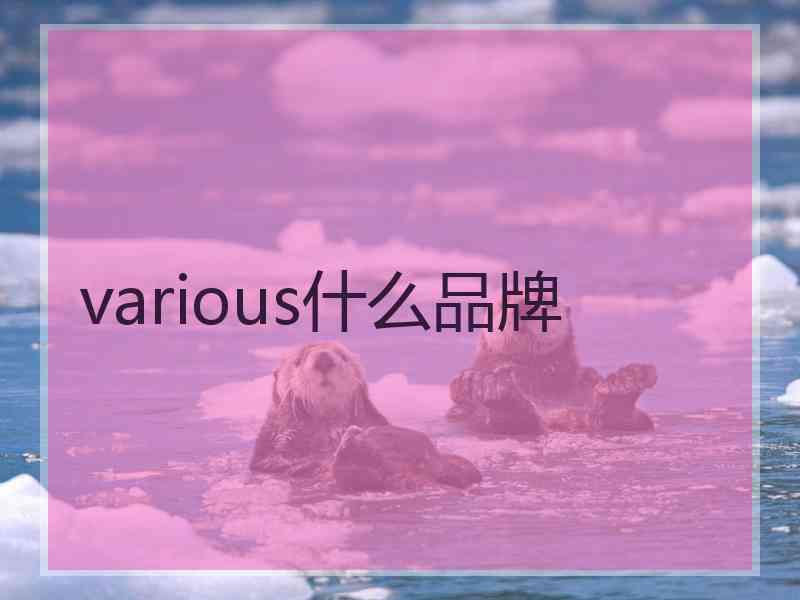 various什么品牌